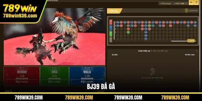 bj39 đá gà