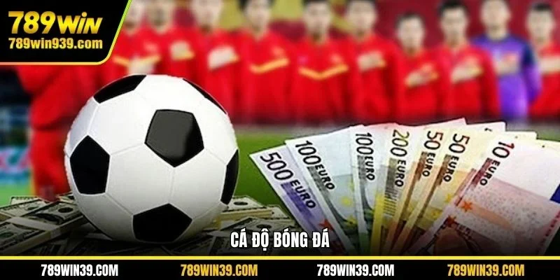 Cá độ bóng đá