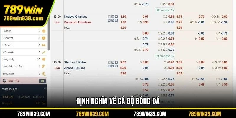 Định nghĩa về cá độ bóng đá