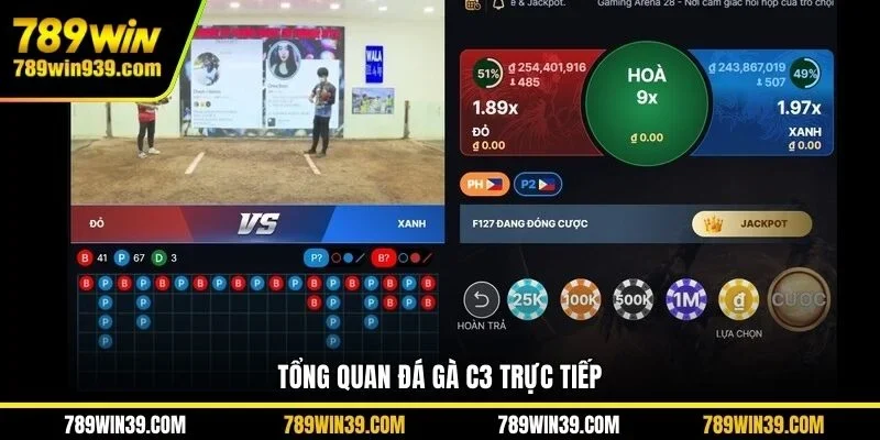 Tổng quan đá gà C3 trực tiếp