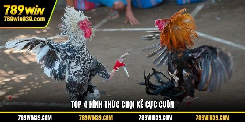 Top 4 hình thức chọi kê cực cuốn