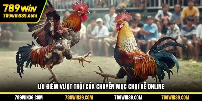 Ưu điểm vượt trội của chuyên mục chọi kê online